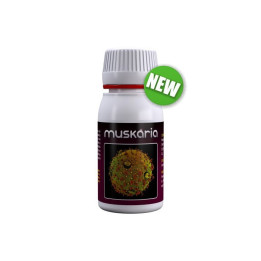 Muskaria (Agrobacterias)