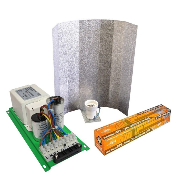 Kit iluminación 600W barato