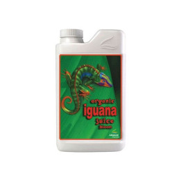 Organic Iguana Juice Bloom