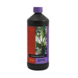 Coco Booster B´cuzZ (ATAMI)