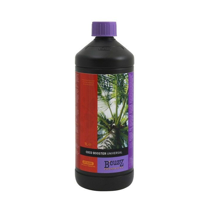 Coco Booster B´cuzZ (ATAMI)