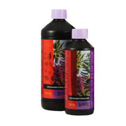 Coco Bloom Stimulator B´cuzZ (ATAMI)