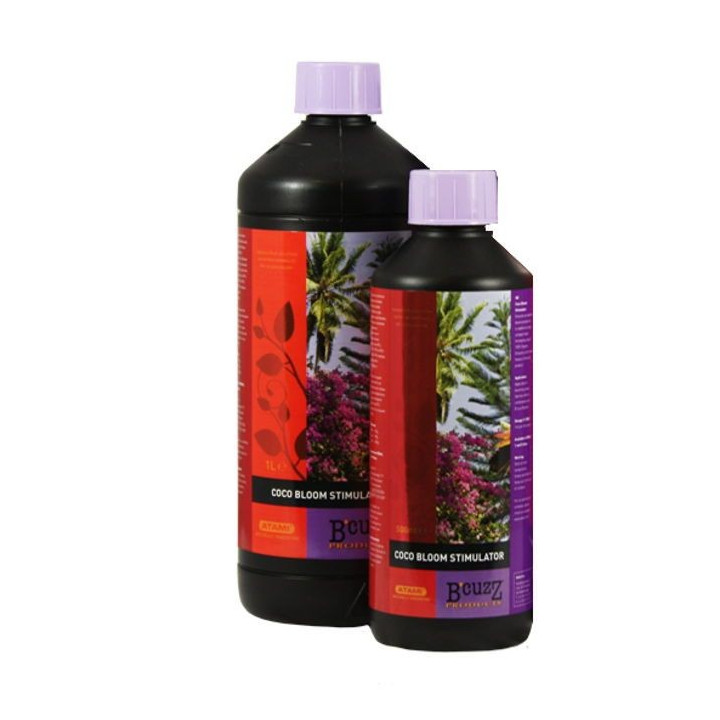 Coco Bloom Stimulator B´cuzZ (ATAMI)