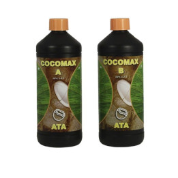 ATA Coco Max A+B (Atami)