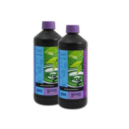Hydro A+B Bcuzz (Atami)