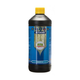 Root C ATA (Atami)