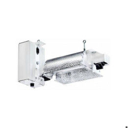 Conjunto completo Gavita Pro 100W
