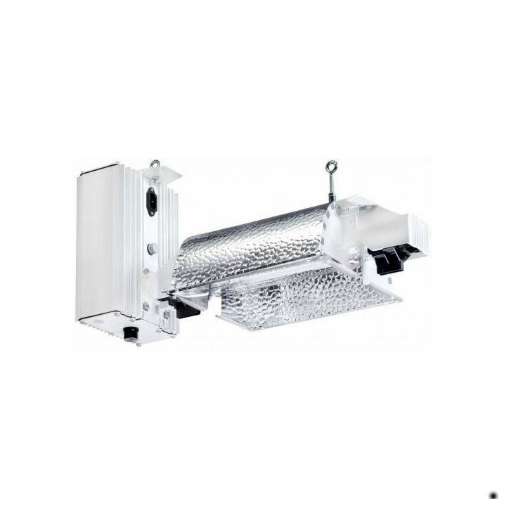 Conjunto completo Gavita Pro 100W
