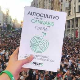 Autocultivo y uso de Cannabis en España (OECCC)