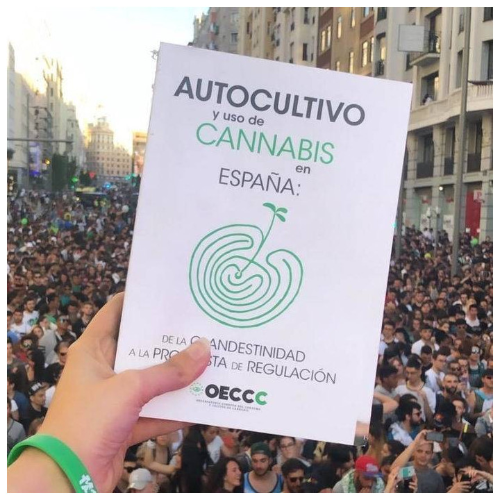 Autocultivo y uso de Cannabis en España (OECCC)