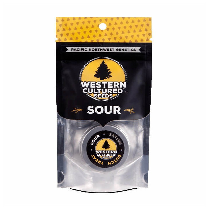 Seatown Lemon Haze | Western Cultured | Tus semillas en Diosa Planta