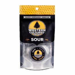 Dutch Treat | Western Cultured | Tus semillas en Diosa Planta