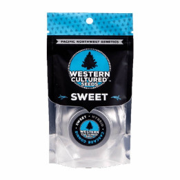 Cascade Connie | Western Cultured | Tus semillas en Diosa Planta