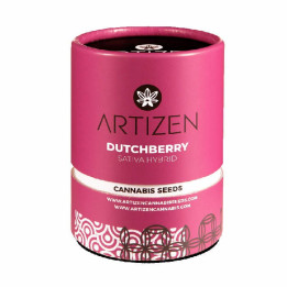 Dutchberry | Artizen | Tus semillas en Diosa Planta