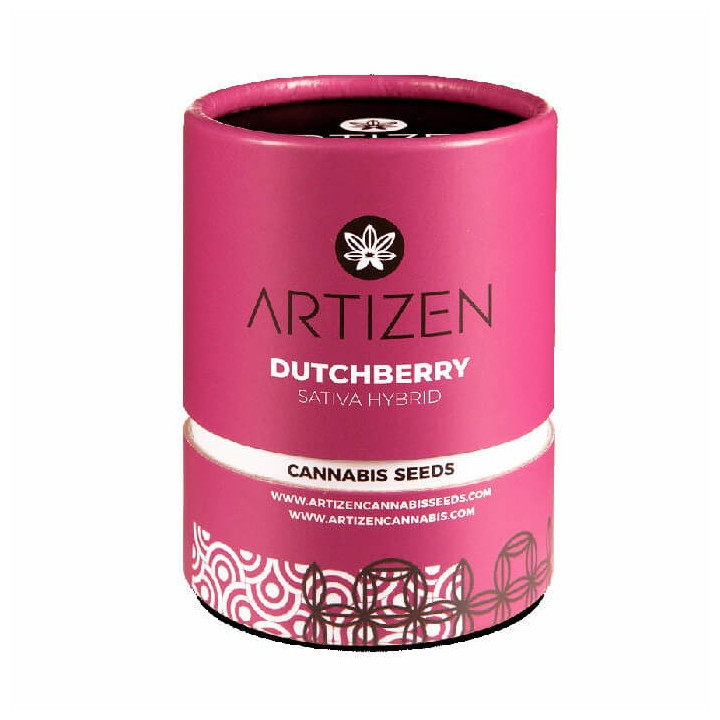 Dutchberry | Artizen | Tus semillas en Diosa Planta