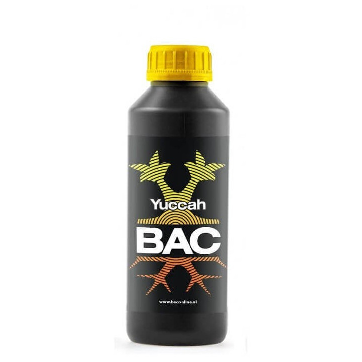 Yuccah BAC