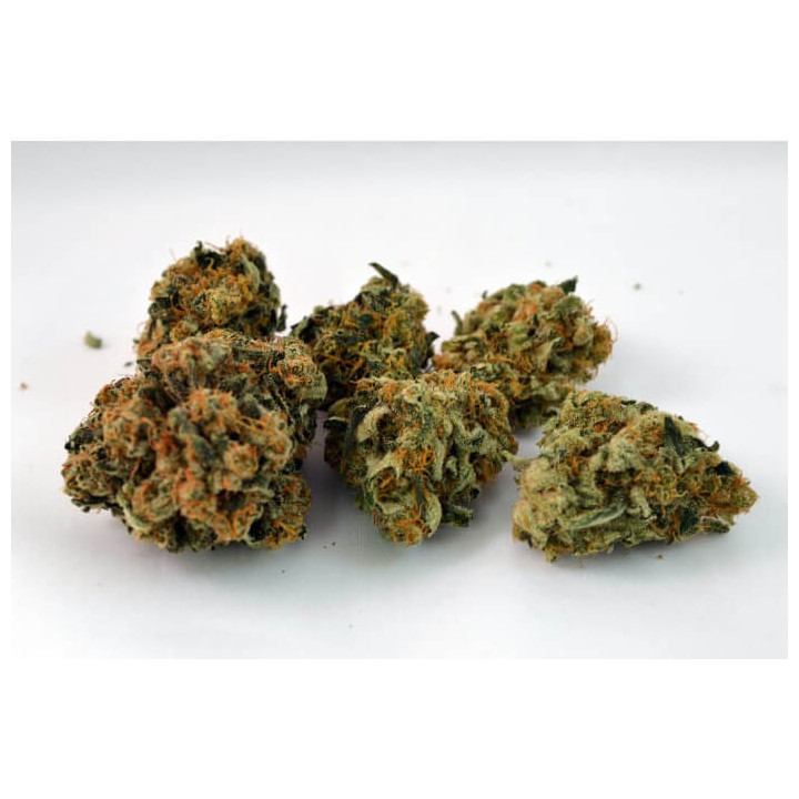 Durga Mata II CBD | Paradise Seeds | Comprar semillas de marihuana