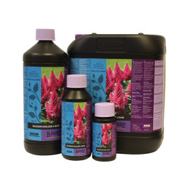 Blossom Builder Liquid de B'cuzZ al MEJOR PRECIO