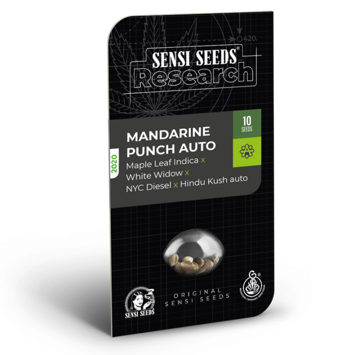 Mandarine Punch Auto | Sensi Seeds Research | Semillas CBD al mejor precio