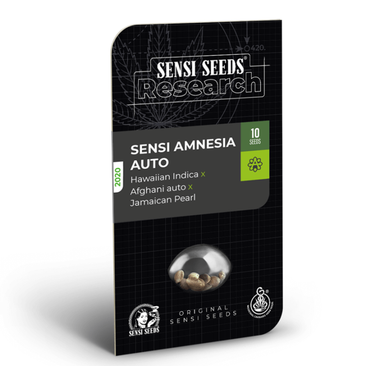 Sensi Amnesia Auto | Sensi Seeds Research | Semillas al mejor precio