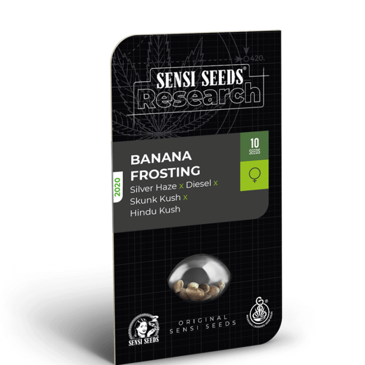 Banana Frosting | Sensi Seeds Research | Semillas de Calidad