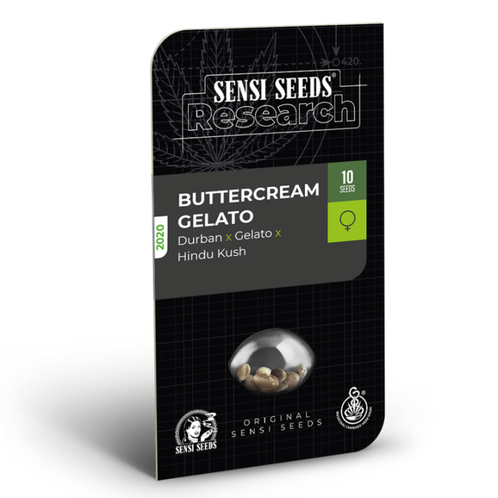 Buttercream Gelato | Sensi Seeds Research | Semillas de Calidad