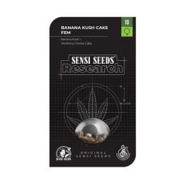 Banana Kush Cake | Sensi Seeds Research | Semillas al MEJOR PRECIO