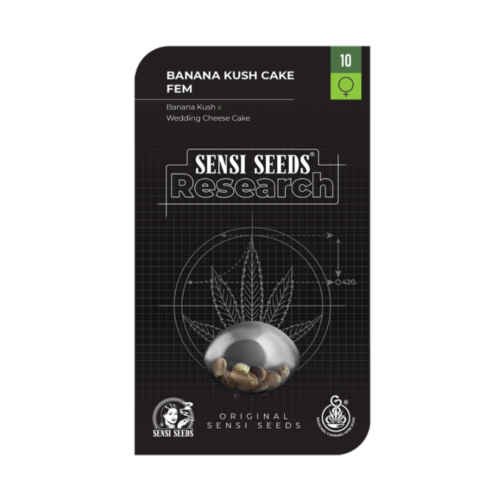 Banana Kush Cake | Sensi Seeds Research | Semillas al MEJOR PRECIO