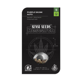 Purple Skunk Auto | Sensi Seeds | Comprar Semillas al MEJOR PRECIO
