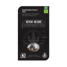 Mandarin Punch | Sensi Seeds Research | Comprar Semillas al MEJOR PRECIO