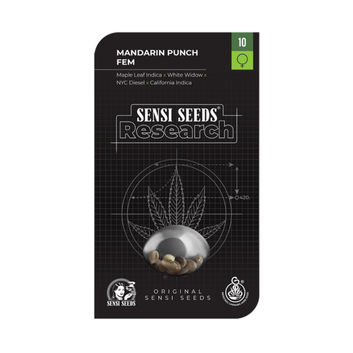Mandarin Punch | Sensi Seeds Research | Comprar Semillas al MEJOR PRECIO