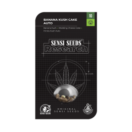 Banana Kush Cake Auto | Sensi Seeds Research | Comprar MEJOR PRECIO