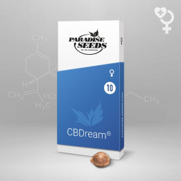 CBDream (Paradise Seeds)
