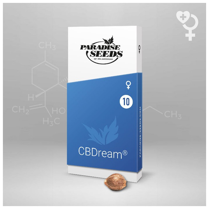CBDream (Paradise Seeds)