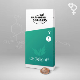 CBDelight  | Paradise Seeds | Comprar semillas CBD