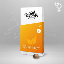 CBDenergy | Paradise Seeds | Comprar semillas BARATAS