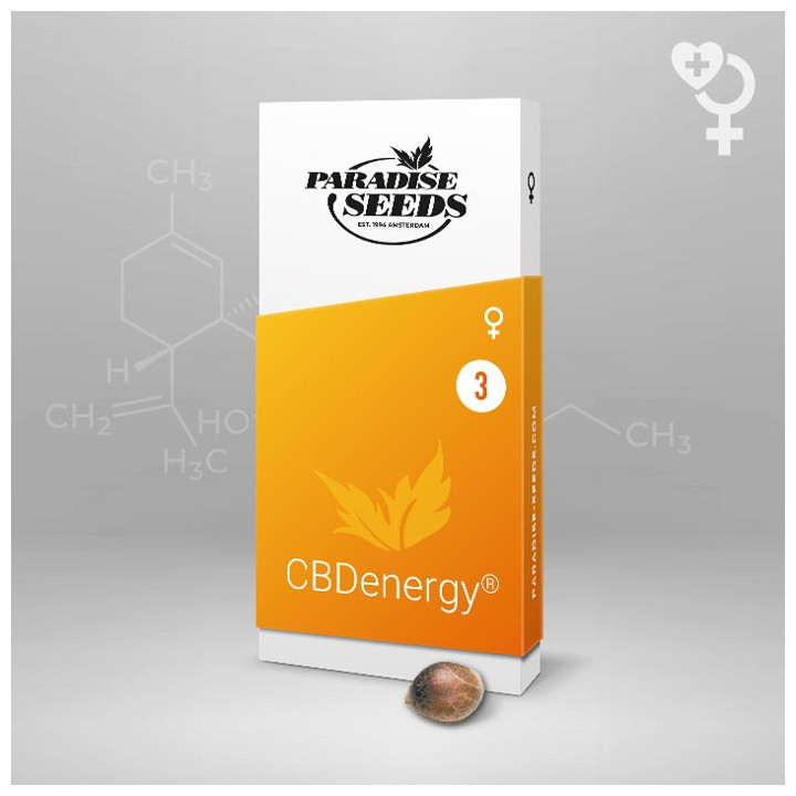 CBDenergy | Paradise Seeds | Comprar semillas BARATAS