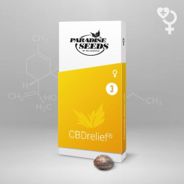 CBDrelief | Paradise Seeds | Comprar semillas BARATAS