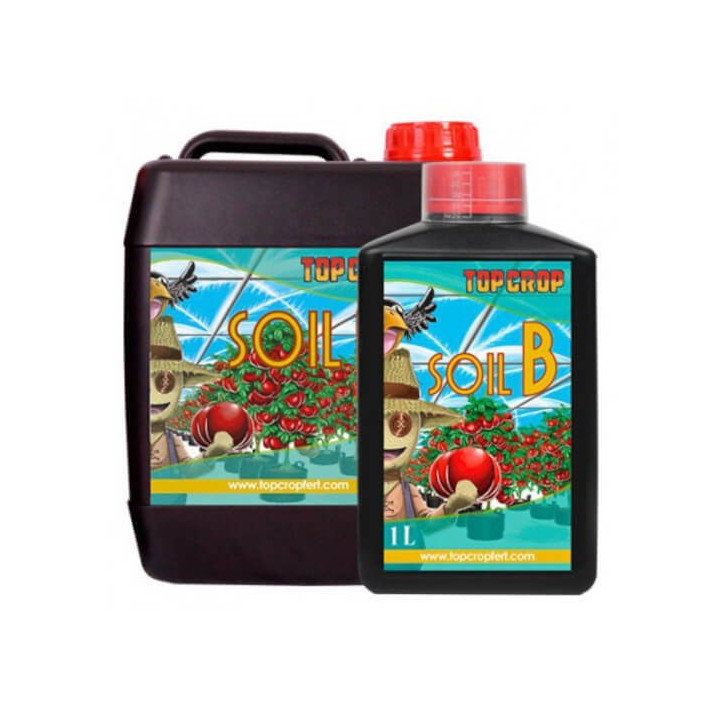 Soil B Top Crop