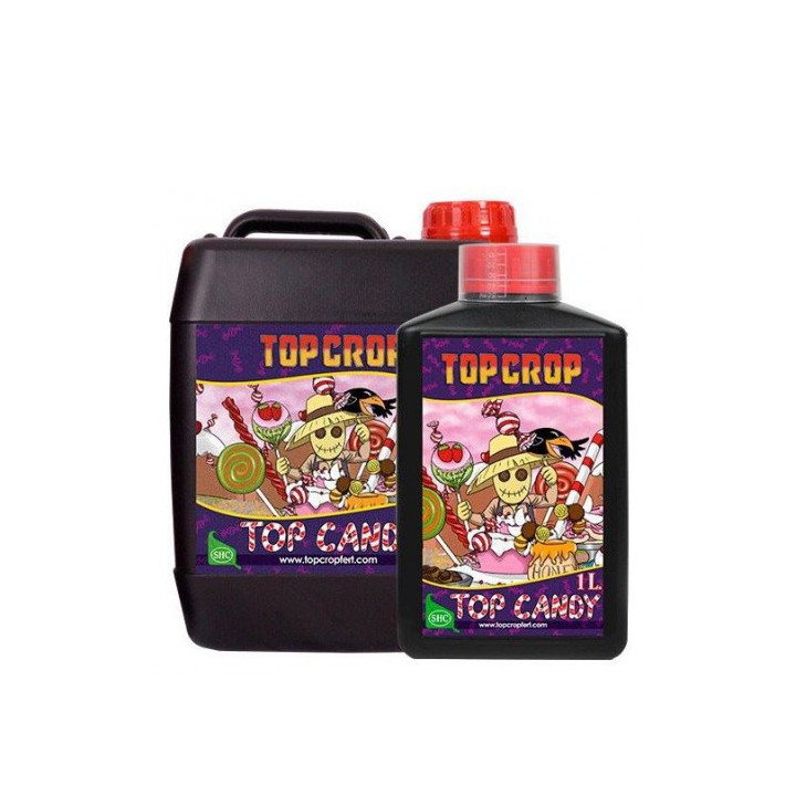Top Candy Top Crop