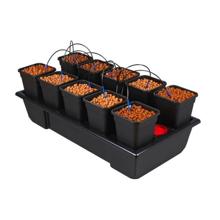 WILMA SMALL WIDE 10 (10 X 6L)
