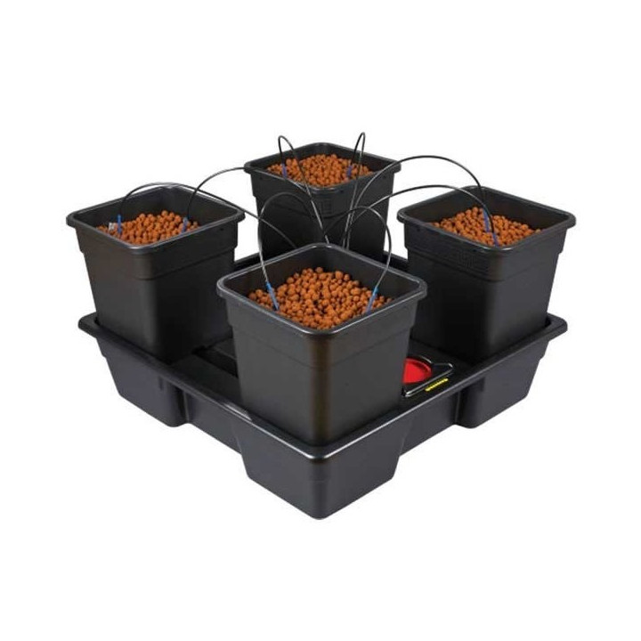 Wilma V2 XL 4 - Comprar Sistema Hidropónico ATAMI - Env24/48h