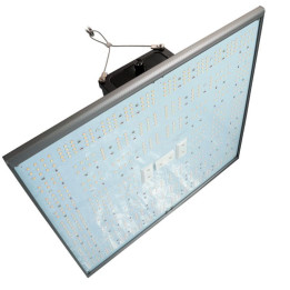 Pure LED Q V 2.0