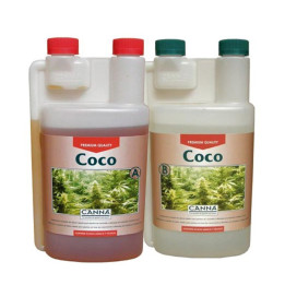 Coco A y B (Canna)