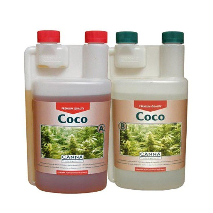 Coco A y B (Canna)
