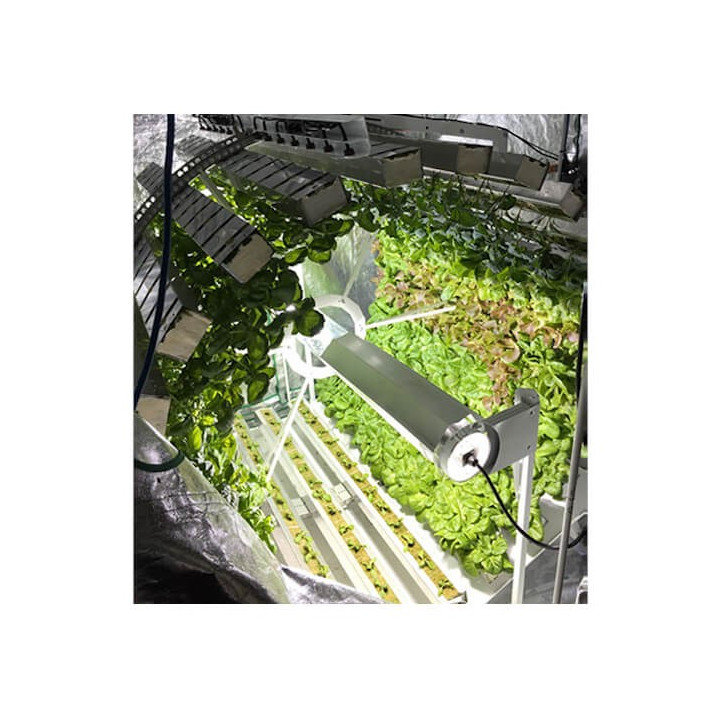 GI Grow 336