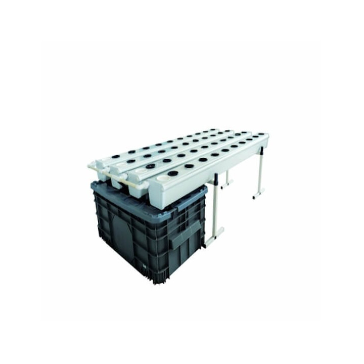 Growstream 40 (GHE)