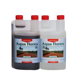 Aqua Flores A y B (Canna)