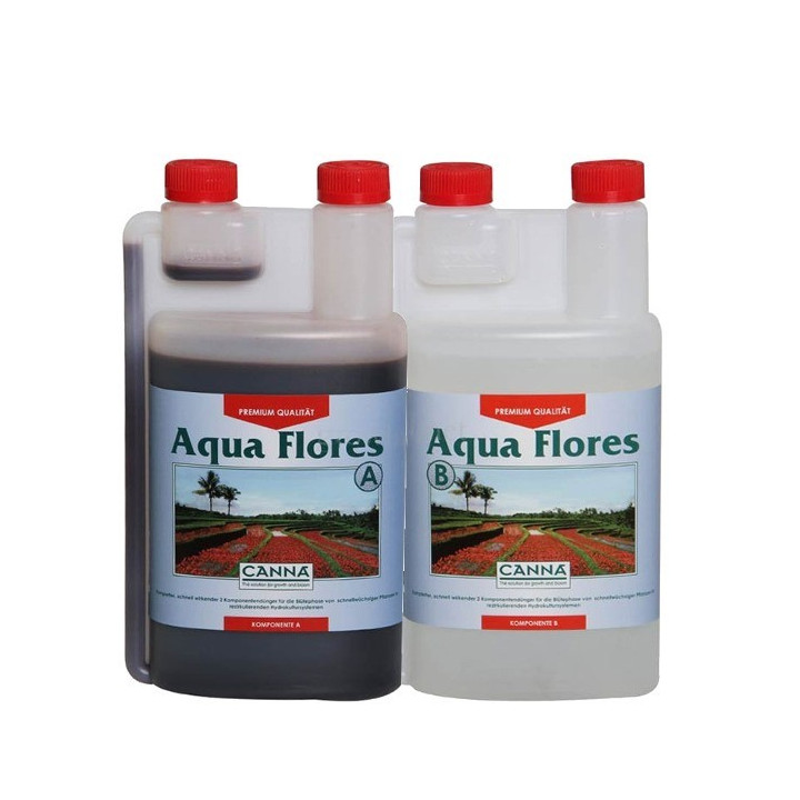 Aqua Flores A y B (Canna)