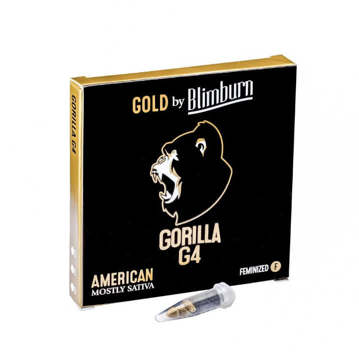▷ Gorilla Glue #4 【 Blimburn Seeds 】| Diosa Planta